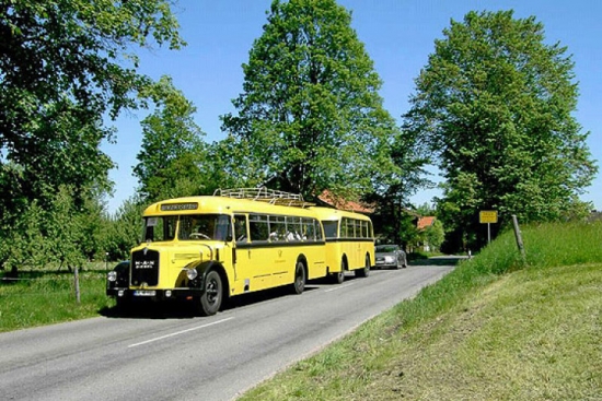 1956.gada MAN MKN 630 (135 ZS) savienotais autobuss bija viens no pēdējiem autobusiem „ar degunu.” Šodien tas ir pilnībā restaurēts un darbspējīgs, glabājas Nirnburgas muzejā.