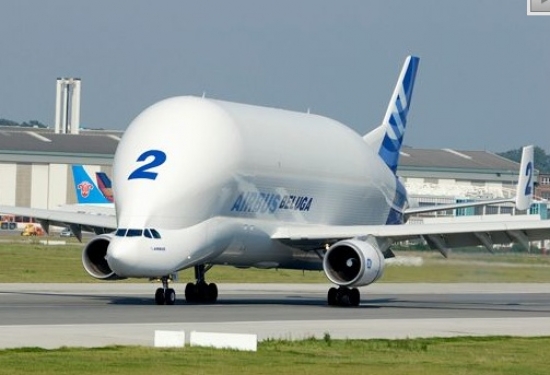 -Airbus Beluga. „Lidojošais delfīns” skaistuma konkursu nekad nevinnēs, toties kravu pārvadāšanā ar to var sacensties retais. Lidojošais delfīns pārtiek no kerosīna, turklāt dzer to pamatīgos daudzumos – lidaparāta spārnos noglabāti 34 430 litri, par kuriem tiek maksāts 18 936,50 eiro ik reizi, kad tvertnes piepilda līdz malām.