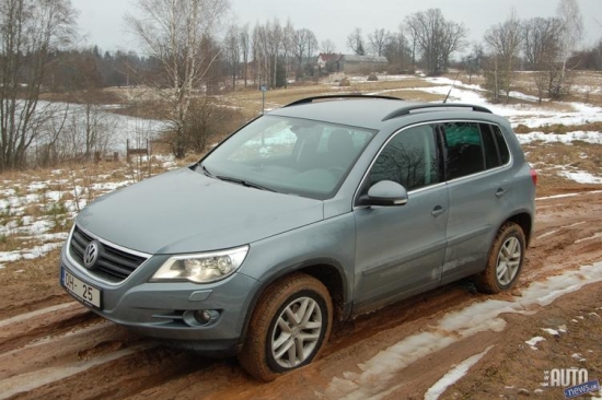 VW Tiguan
